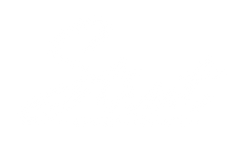 Strut Couture Boutique