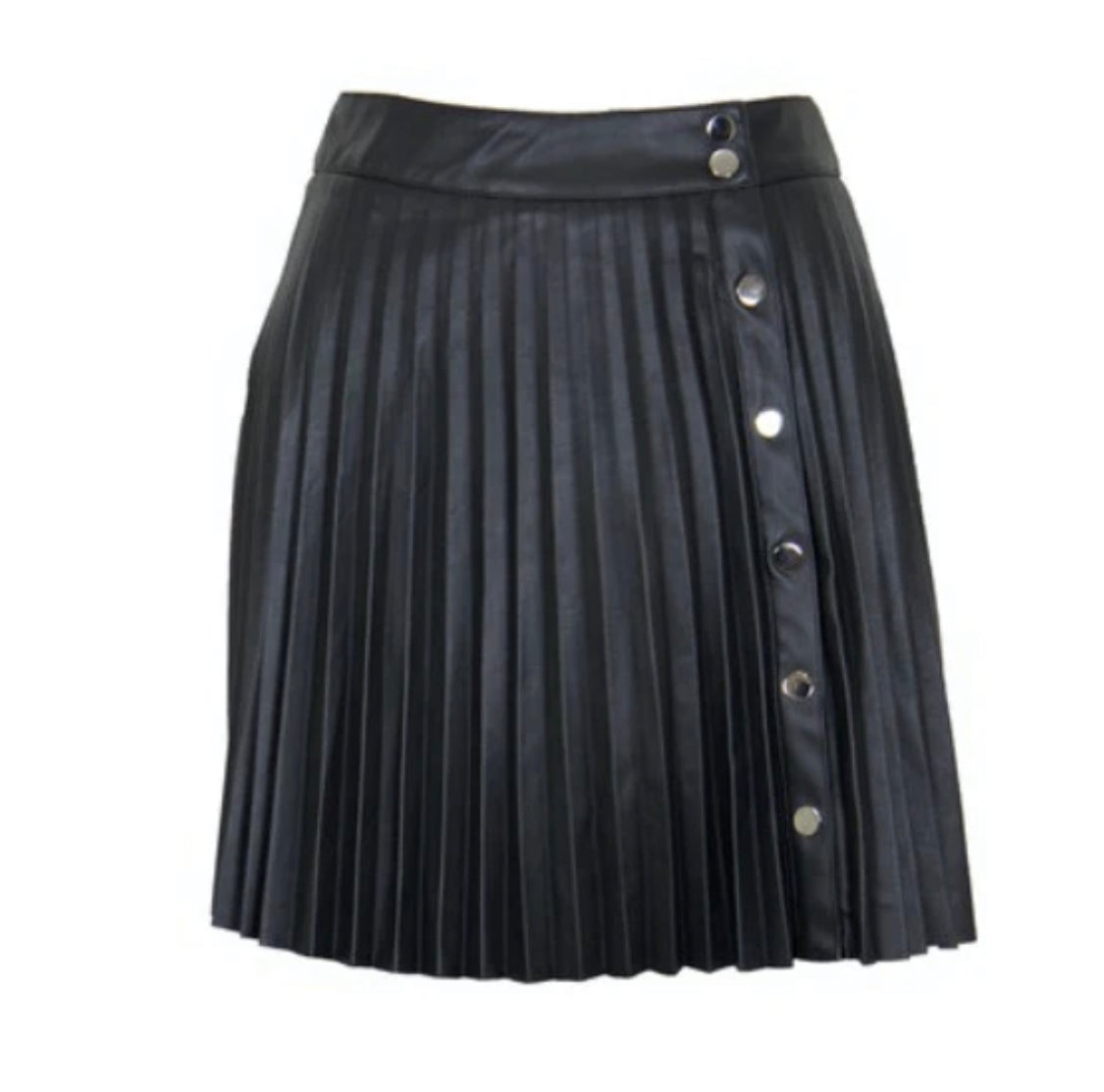 Phoenix Faux Leather Pleated Skirt